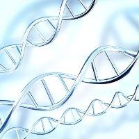Focus on Biotech: new guidelines published by the Brazilian PTO