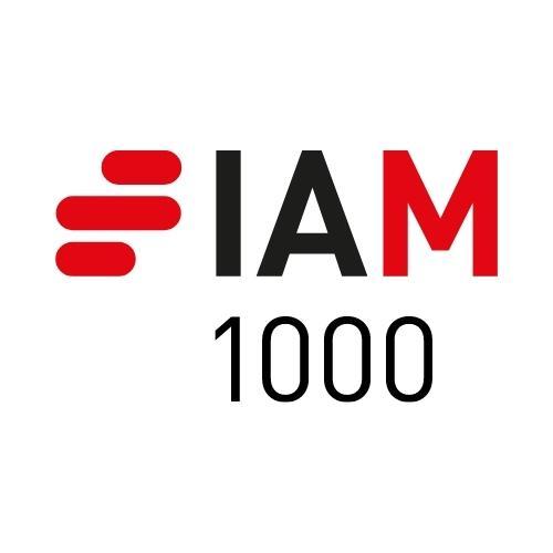 Luiz Leonardos & Advogados é recomendado pelo IAM PATENT 1000